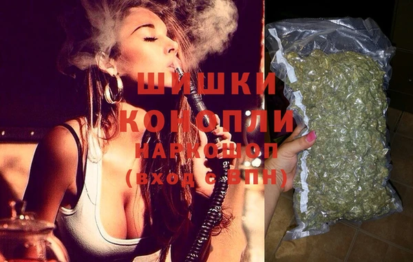 крисы Алексин