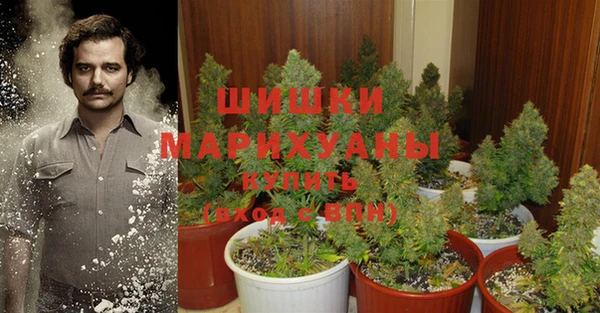 каннабис Алзамай