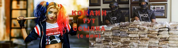крисы Алексин