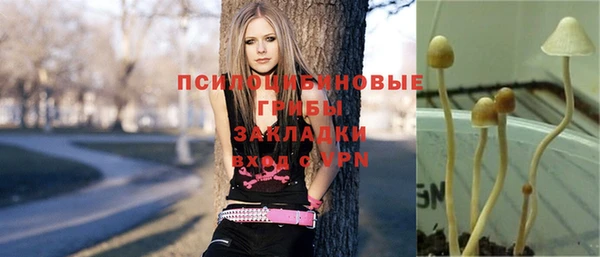 крисы Алексин